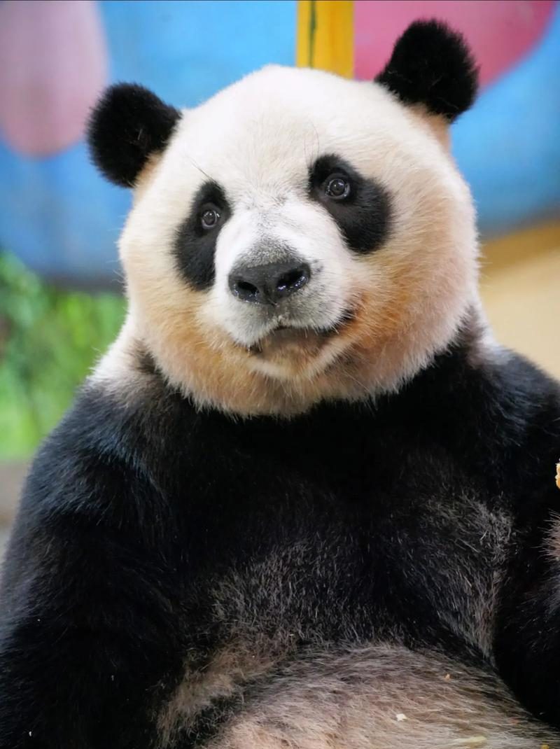 Sichuan,Chengdu